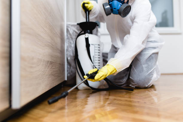 Best Affordable Pest Control Services  in Wilsonville, OR