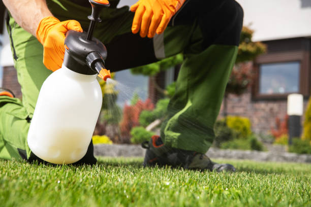 Best Best Pest Control Companies  in Wilsonville, OR