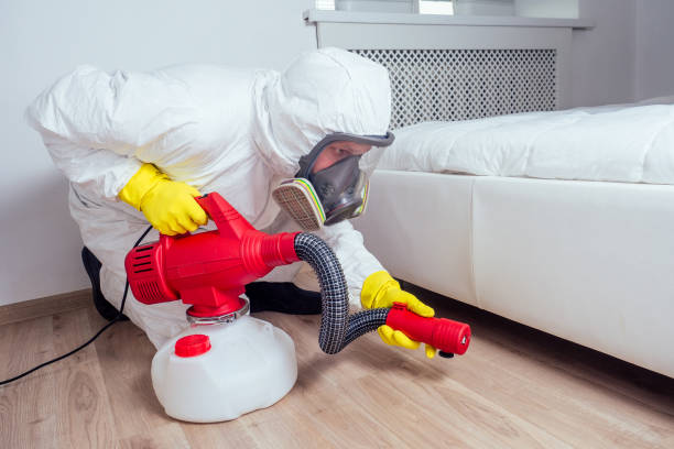 Best Flea Control Services  in Wilsonville, OR