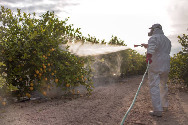Best Rat Extermination Near Me  in Wilsonville, OR