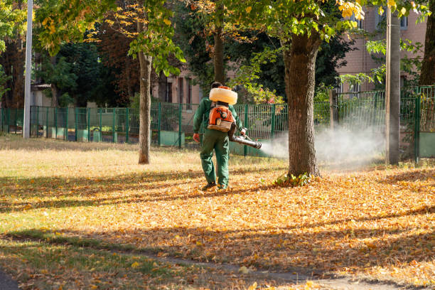 Spider Control Near Me in Wilsonville, OR